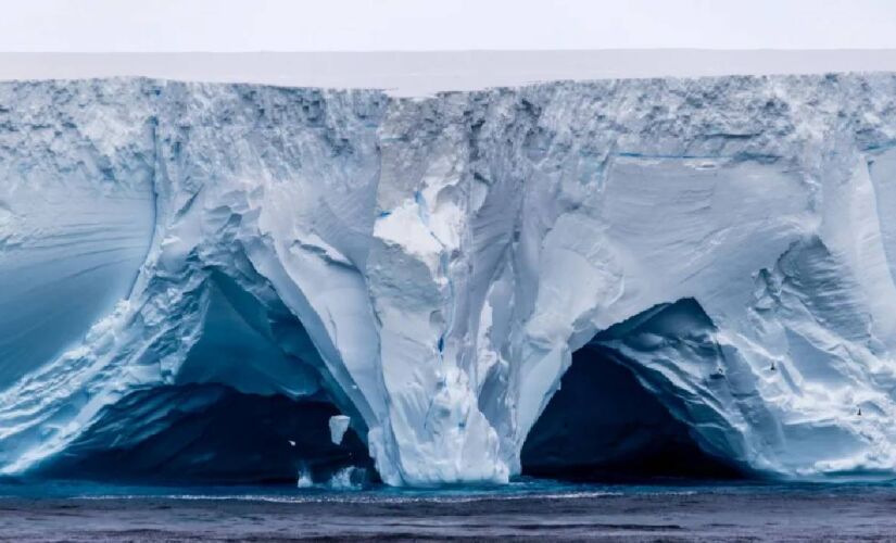 Iceberg está em uma ilha entre as Malvinas e as Sandwich do Sul