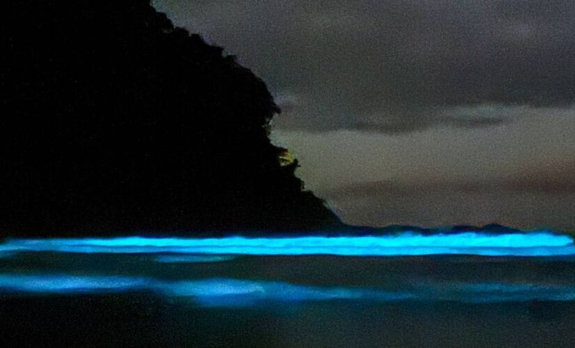 'Mar azul' na Praia de Itamambuca, em Ubatuba 