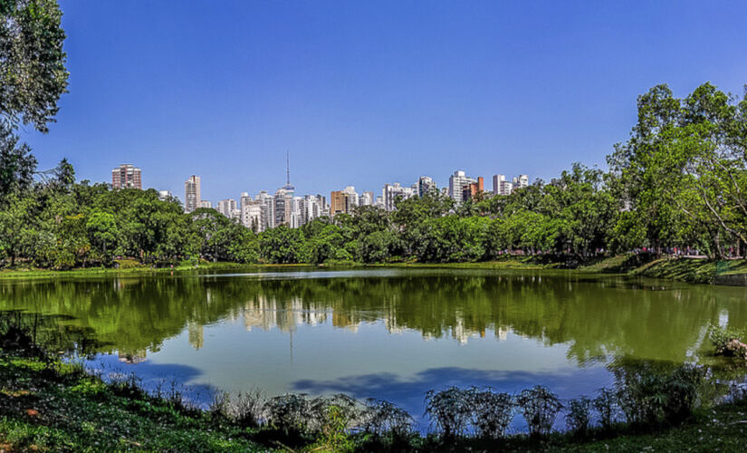 Do Ibirapuera à Cantareira: um guia completo para encontrar seu refúgio verde em meio à metrópole