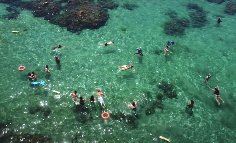 Descubra os tesouros naturais do Brasil com águas cristalinas, vida marinha exuberante e cenários paradisíacos