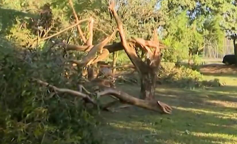 Praça destruída pelas chuvas em Taciba, no interior de São Paulo