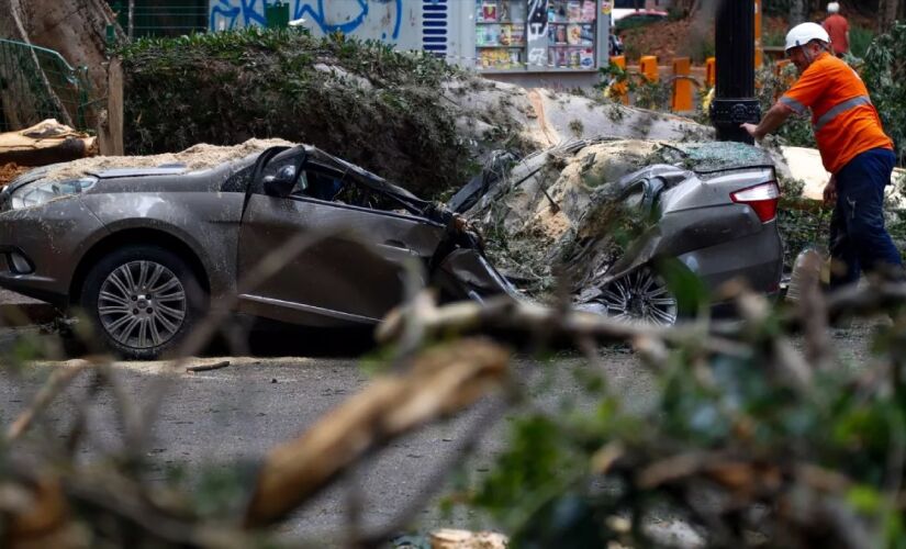 Tempestade derrubou mais de 300 árvores em São Paulo