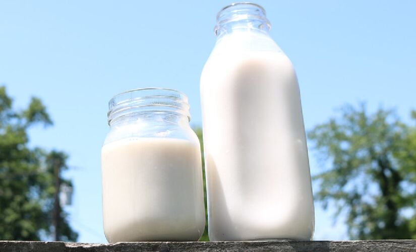 O alimento rico em cálcio é muito saudável, mas pode ter efeito reverso