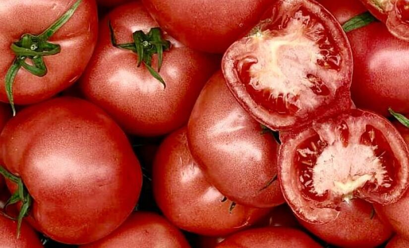 Tempero substitui açúcar para tirar acidez 