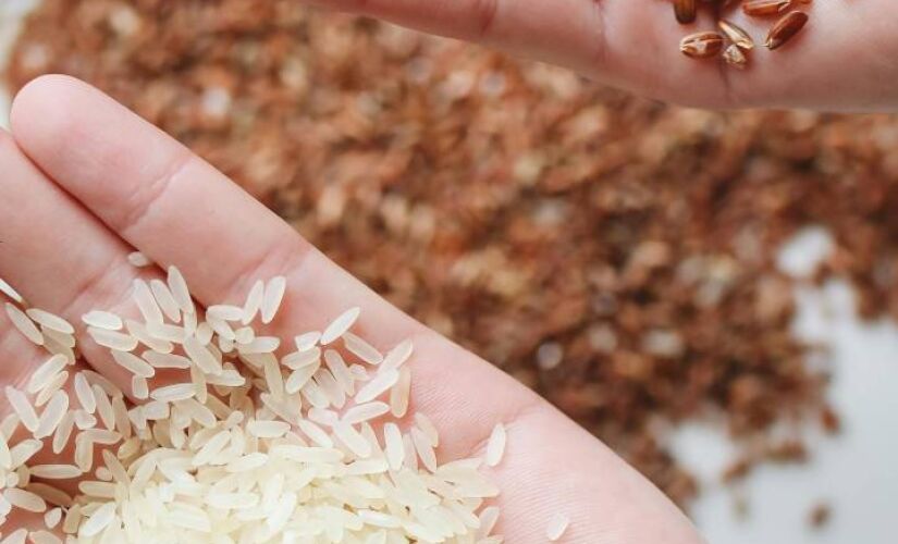 Veja dicas para cozinhar arroz branco de forma saudável