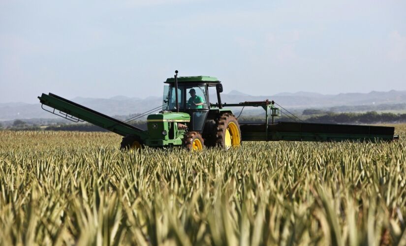 Setores da agropecuária e dos serviços atingiram patamares recordes no primeiro trimestre de 2025