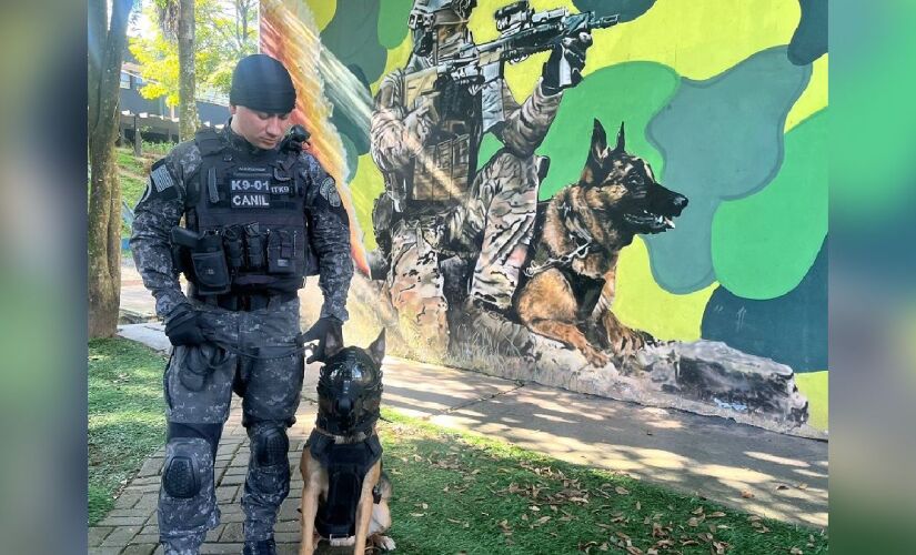 Coyote é o primeiro cão paraquedista da PMESP