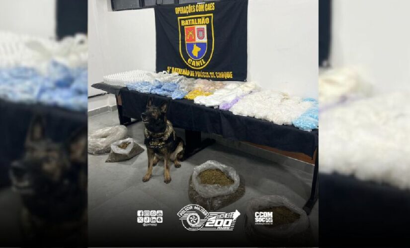 Ao todo, cerca de 39,6 kg de drogas foram apreendidas