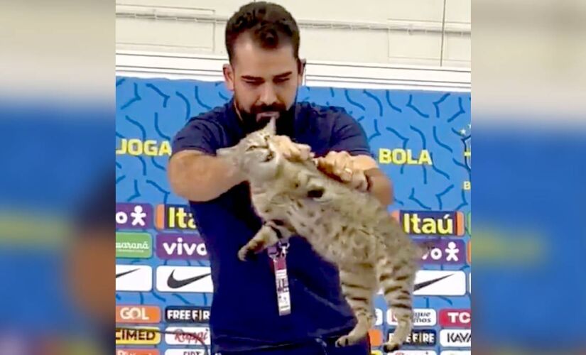 Forma aparentemente rude como o jornalista afastou o animal foi criticada à época