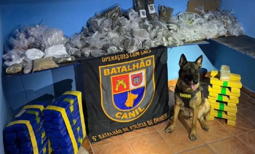 Local era acessado por meio de uma passagem secreta e foi descoberto pelo pastor belga malinois Machi