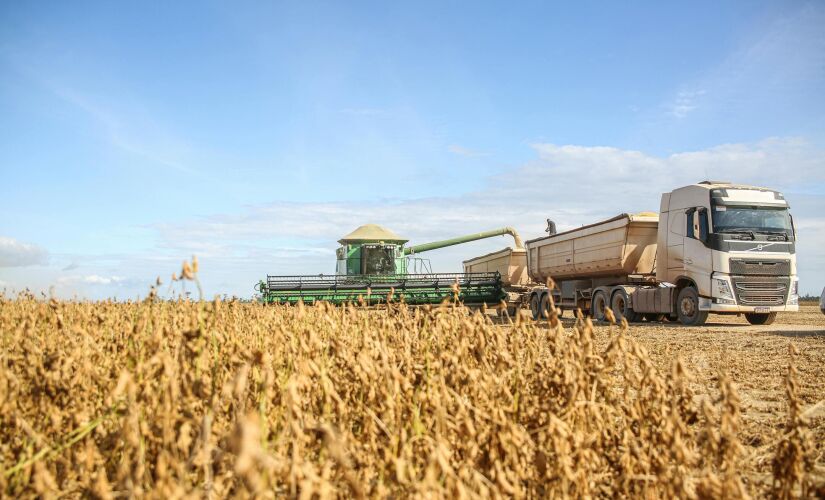 Dados divulgados pelo IBGE indicam que a agropecuária cresceu 12,2% no primeiro trimestre de 2025