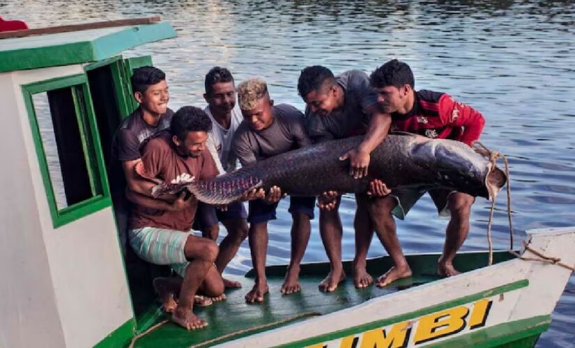 Peixe também pode ser encontrado em Minas Gerais, Mato Grosso, Mato Grosso do Sul e Bahia