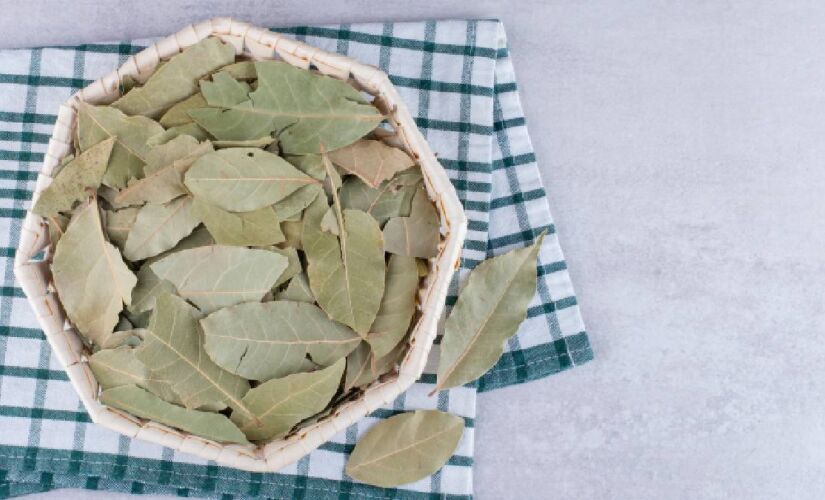O louro tem efeitos antimicrobianos, antioxidantes e digestivos 