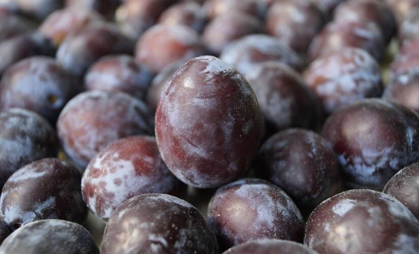 Considerada uma das primeiras frutas a ser domesticadas pelo ser humano, essa fruta tem origem na China e leste europeu