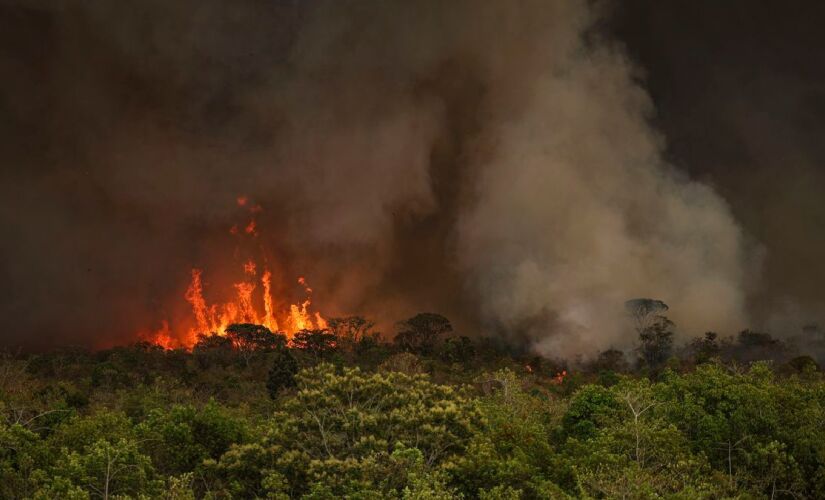 Dados do Deter indicam que 51% do desmatamento decorrem de incêndios florestais