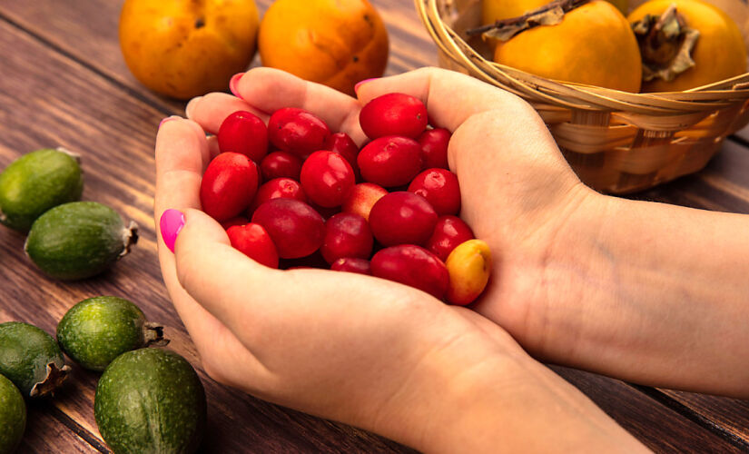 Uma fruta, considerada a mais doce do mundo, é capaz de transformar os alimentos amargos e ácidos em doces, enganando o seu paladar
