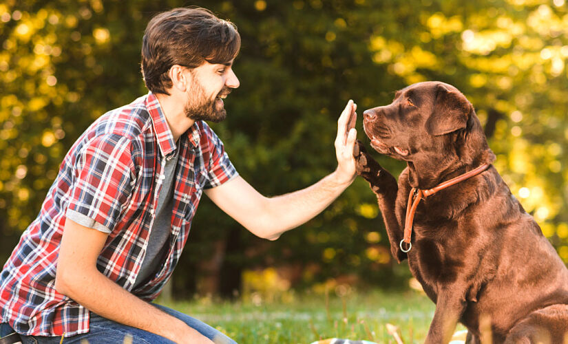 O conceito de que os cães geralmente se parecem com seus donos não passa apenas de uma teoria