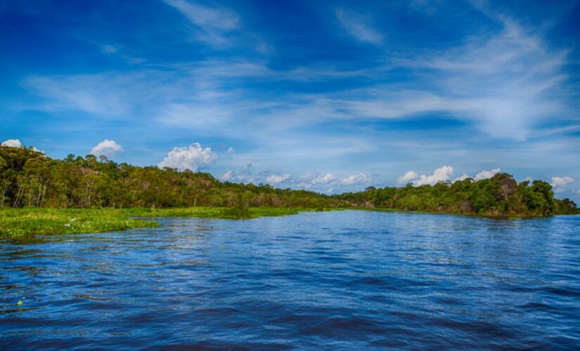 A Amazônia vai muito além do que você imagina. Descobrimos 5 hotéis que são verdadeiros santuários de conforto e aventura, com arquitetura sustentável e experiências únicas.