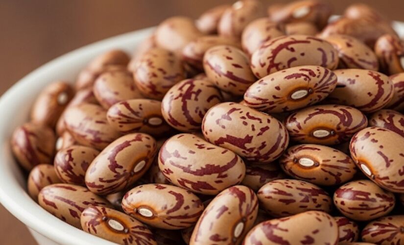 Combata a infestação de carunchos: aprenda a prevenir e recuperar seus alimentos.