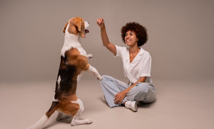 Seu cão se comunica com você