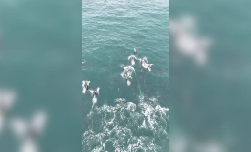 Autor dos vídeos foi Josimar dos Santos, ele é conhecido por filmar as belezas naturais da região com o seu drone