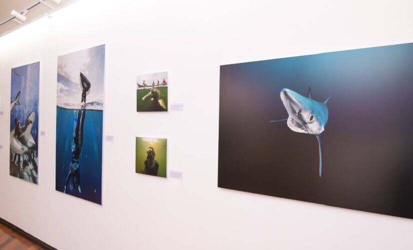 Exposição integra a 3ª edição do projeto Arte na Pinacoteca da Baixada Santista