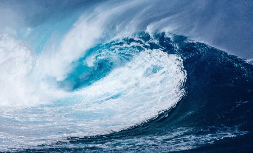 Camadas mais acima do oceano se tornaram mais habitadas por plânctons.