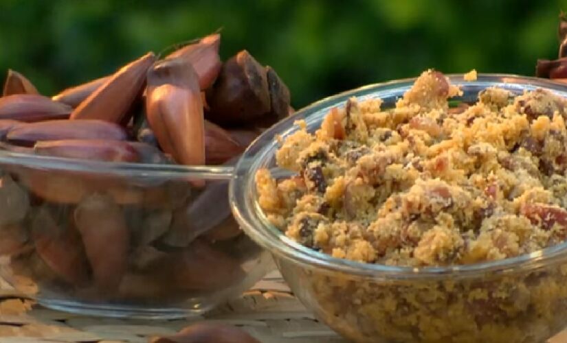Explore os segredos do pinhão e adicione um superalimento nutritivo à sua dieta agora.