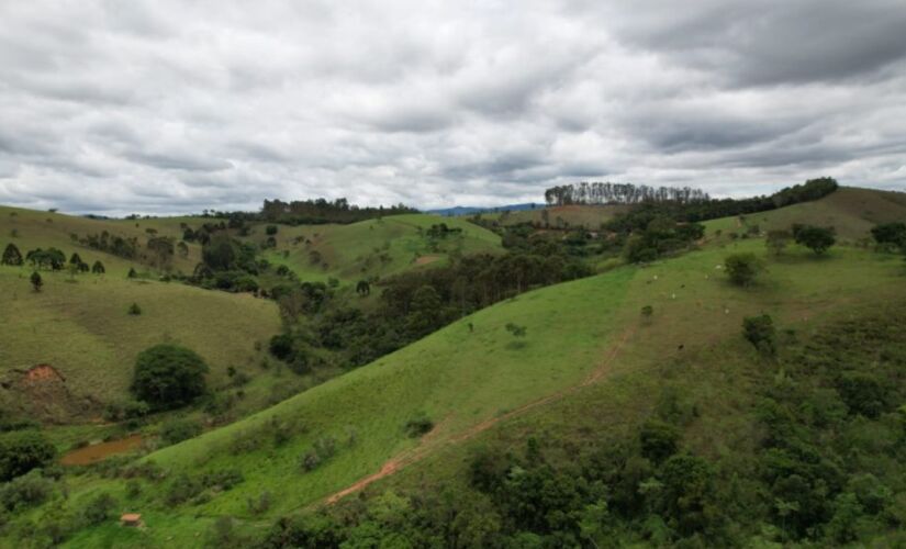 PSA Refloresta-SP pretende restaurar 1.300 hectares com sistemas produtivos ecológicos