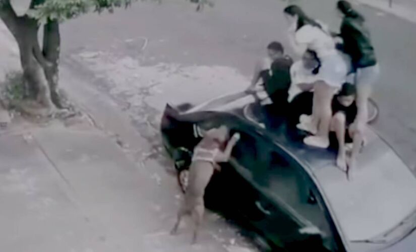 Ataque foi registrado por uma câmera de segurança e mostra o momento em que o animal avança nas crianças