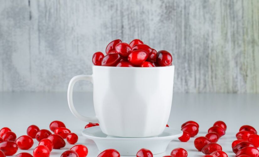Muito popular nos EUA, fruta já comprovou ser eficaz contra doenças renais e infecções