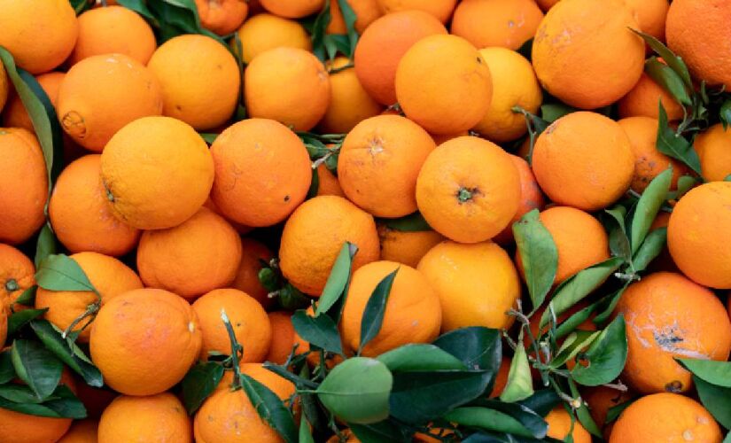 O estado de São Paulo é o maior produtor dessa fruta no País