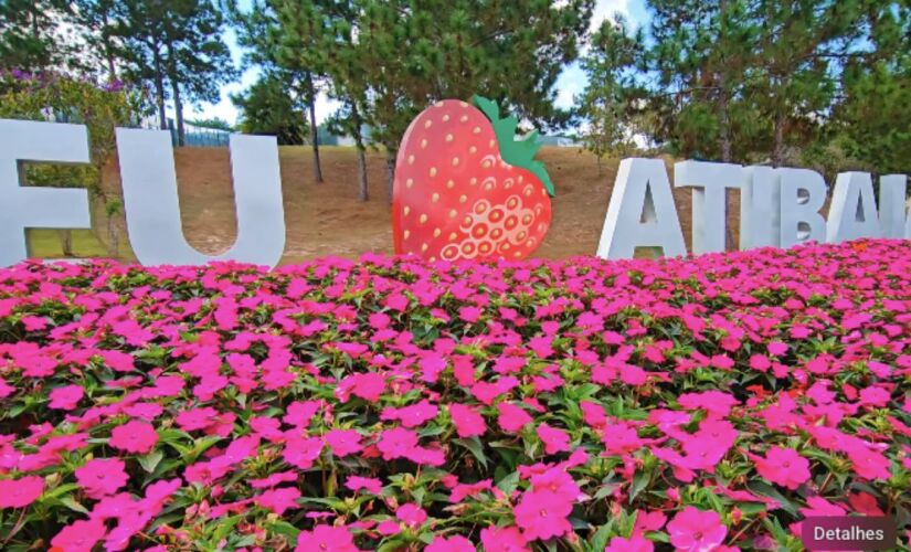 Cidade do interior de SP une tradição japonesa, clima ameno e lavouras de dar água na boca