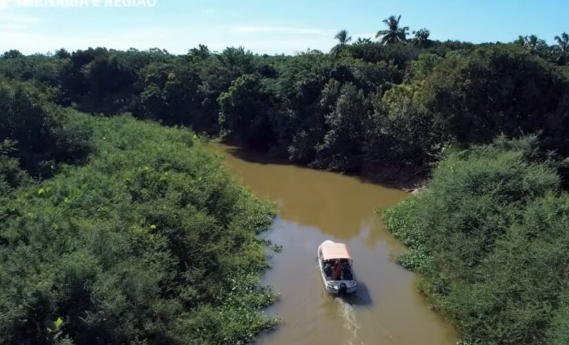 Com diferentes passeios, delta fluvial pode ser apresentada a todos os públicos
