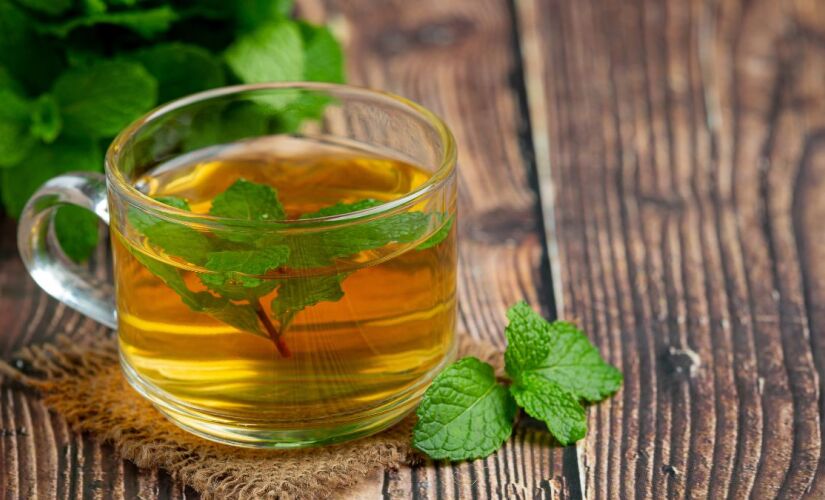 Conheça a planta que faz bem para o seu corpo e a sua mente, segundo especialistas 