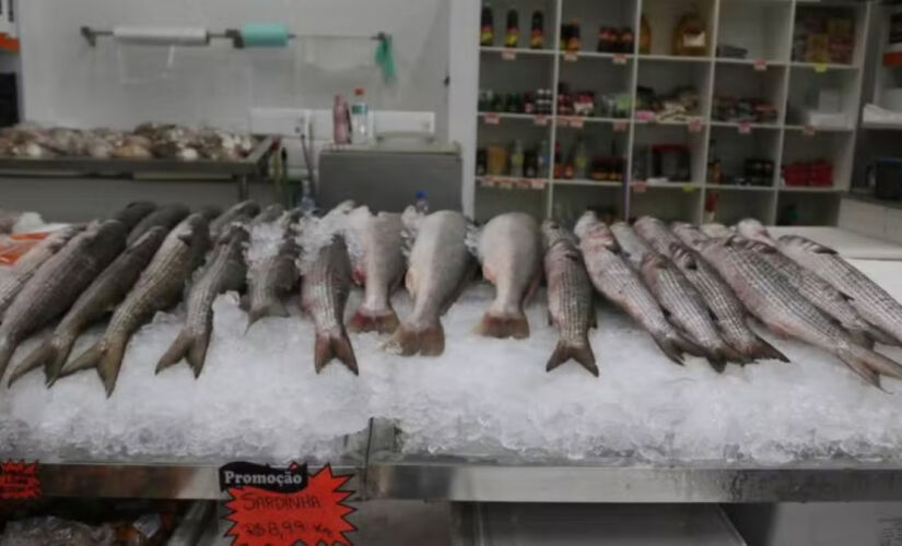 Aproveitando o período de safra, quando a oferta de pescado aumenta nas bancas, permissionários do Mercado de Peixes conseguiram negociar preços mais baixos com os fornecedores