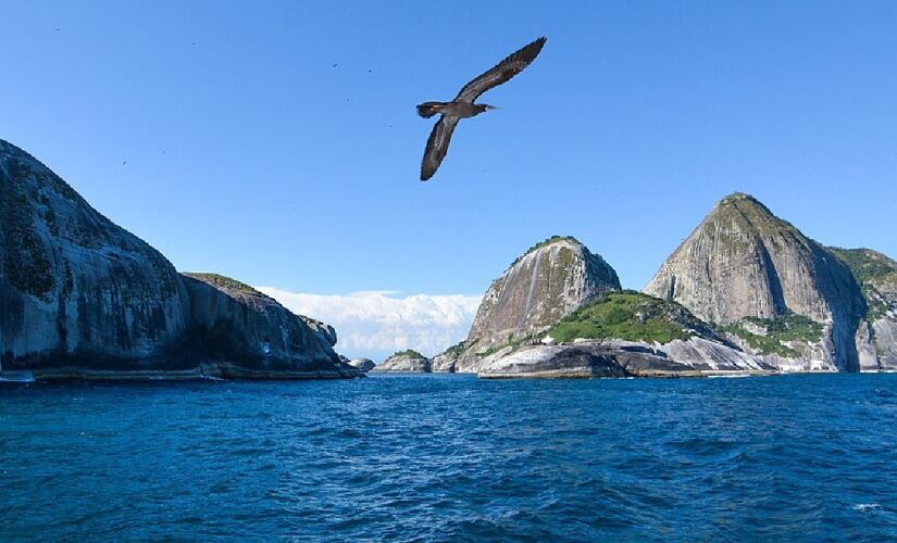 Essa ilha abriga mais de 1300 espécies 