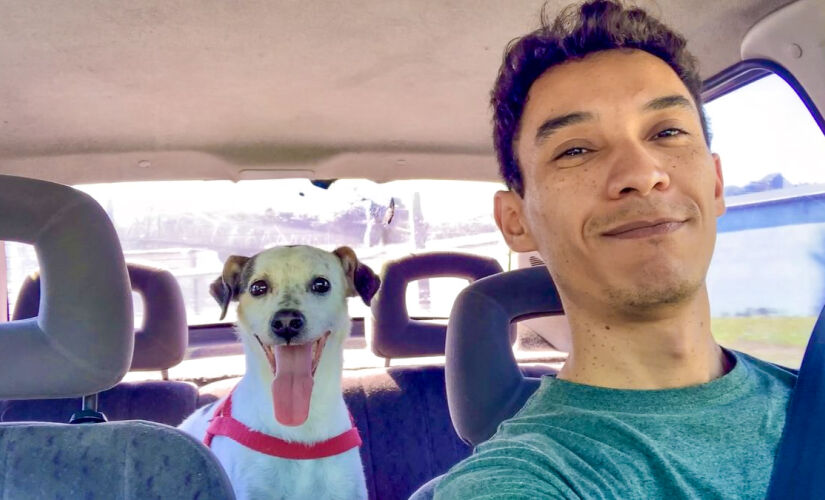 Uma história real de afeto, paciência e superação com um doguinho especial que sorri e sente tudo com intensidade
