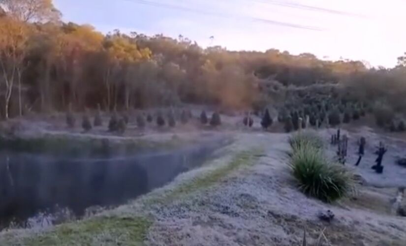 Imagem registra pasto congelado em dia com -2 graus em Marsilac