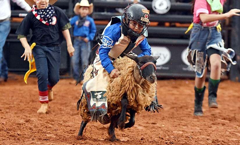 Campeão do rodeio em carneiros da 69ª Festa do Peão de Barretos, em 2024, foi Luís Odair Batista Júnior, 6 anos, de Porto Feliz