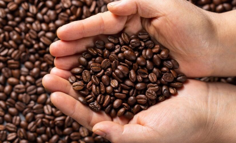 Uso de grãos maduros demais pode revolucionar a forma de fazer café especial