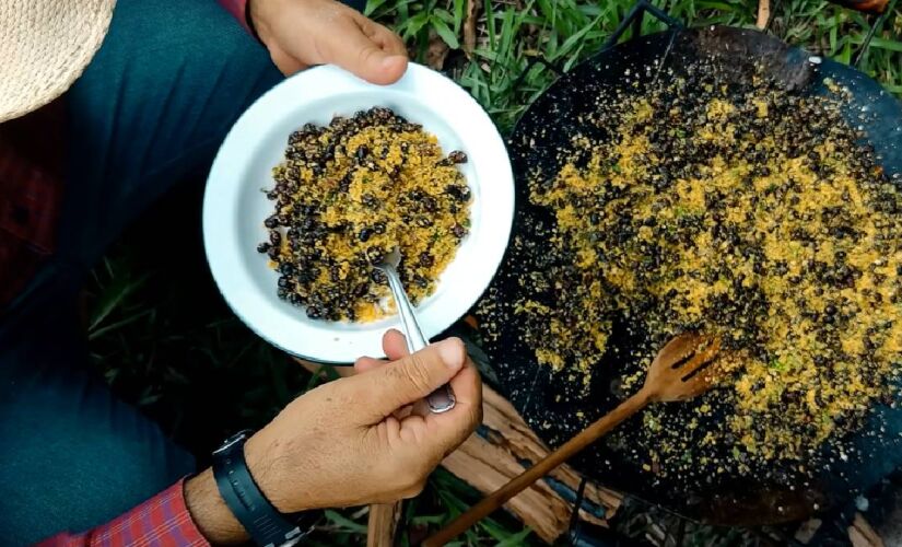 No interior de SP, formiga virou prato típico que conquista turistas
