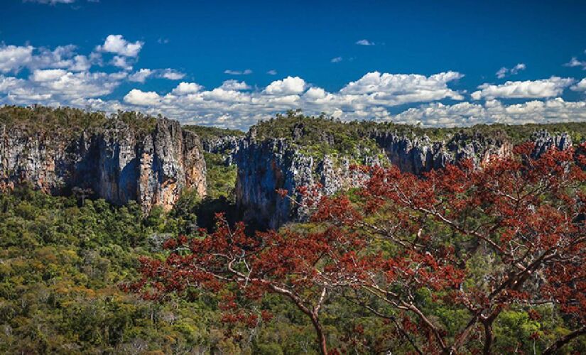 Caso o título seja concedido, o Parque Nacional das Cavernas do Peruaçu será o nono patrimônio natural brasileiro