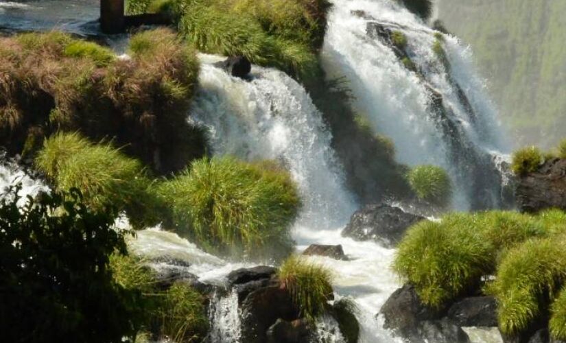 Premiação faz do parque atração número um da América Latina