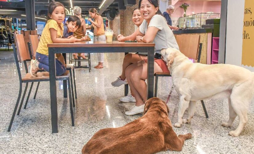 No domingo (20/7), das 11h às 16h, os visitantes terão a oportunidade de conhecer e adotar cães que estão à procura de um lar