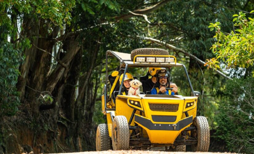Para quem curte adrenalina, muitas agências de turismo de aventura da cidade se adaptaram para oferecerem algumas atividades para os animais