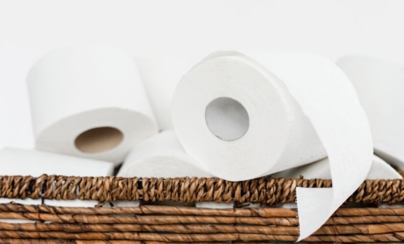 Entenda o porquê você deve trocar o rolo de papel higiênico sempre que for para um hotel 