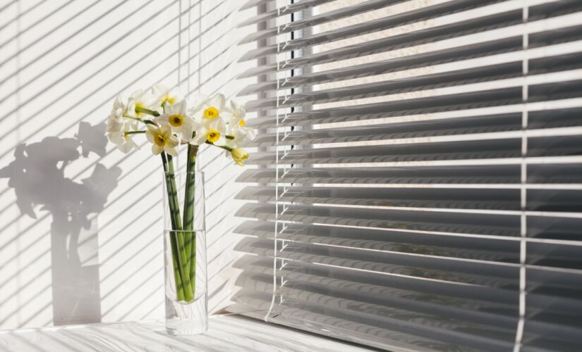 Persiana no passado? Conheça a novidade da decoração 