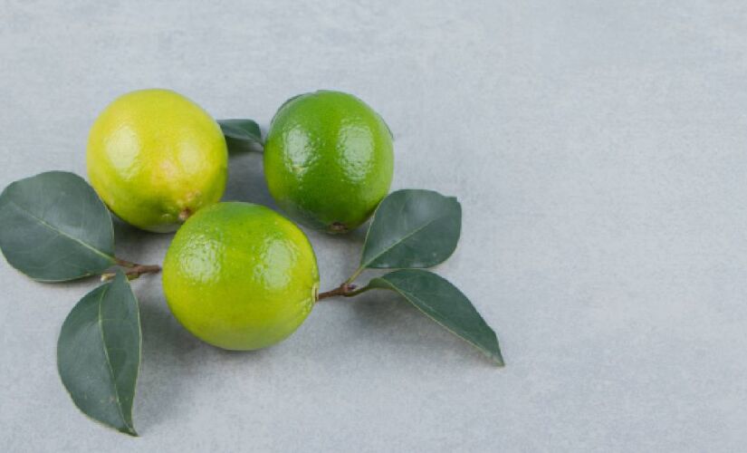 Estudos demonstram que extratos de folhas de limão apresentam atividade antimicrobiana e antioxidante