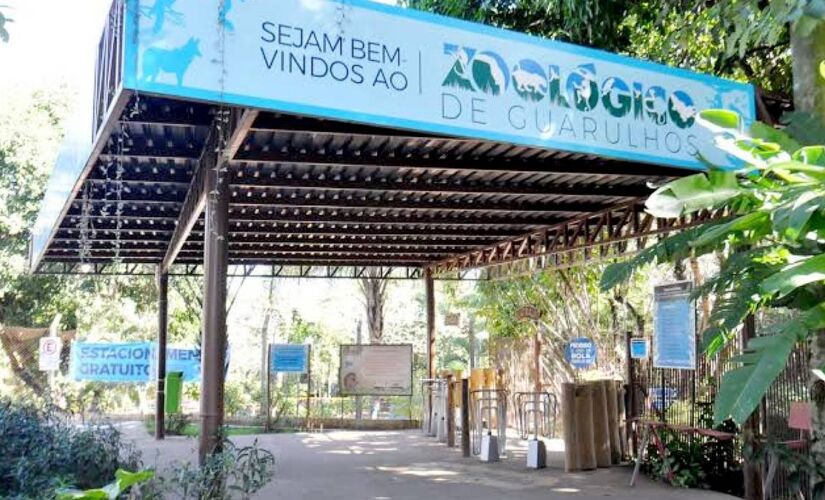 Evento gratuito aborda importância das cobras no ecossistema